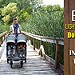 Best Lightweight Travel Double Stroller for Infant and Toddler